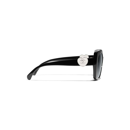 CH5519 C501S4