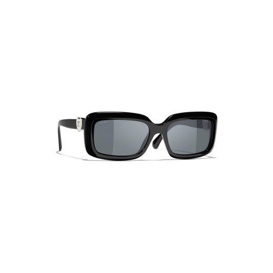 CH5520 C501S4