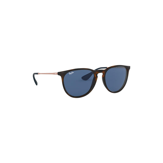 Erika Areia Escura Sunglasses - RB4171 639080
