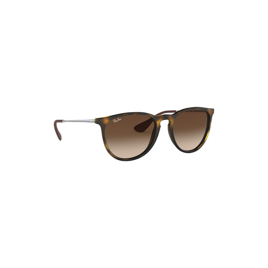 Erika Areia Escura Sunglasses - RB4171 865/13