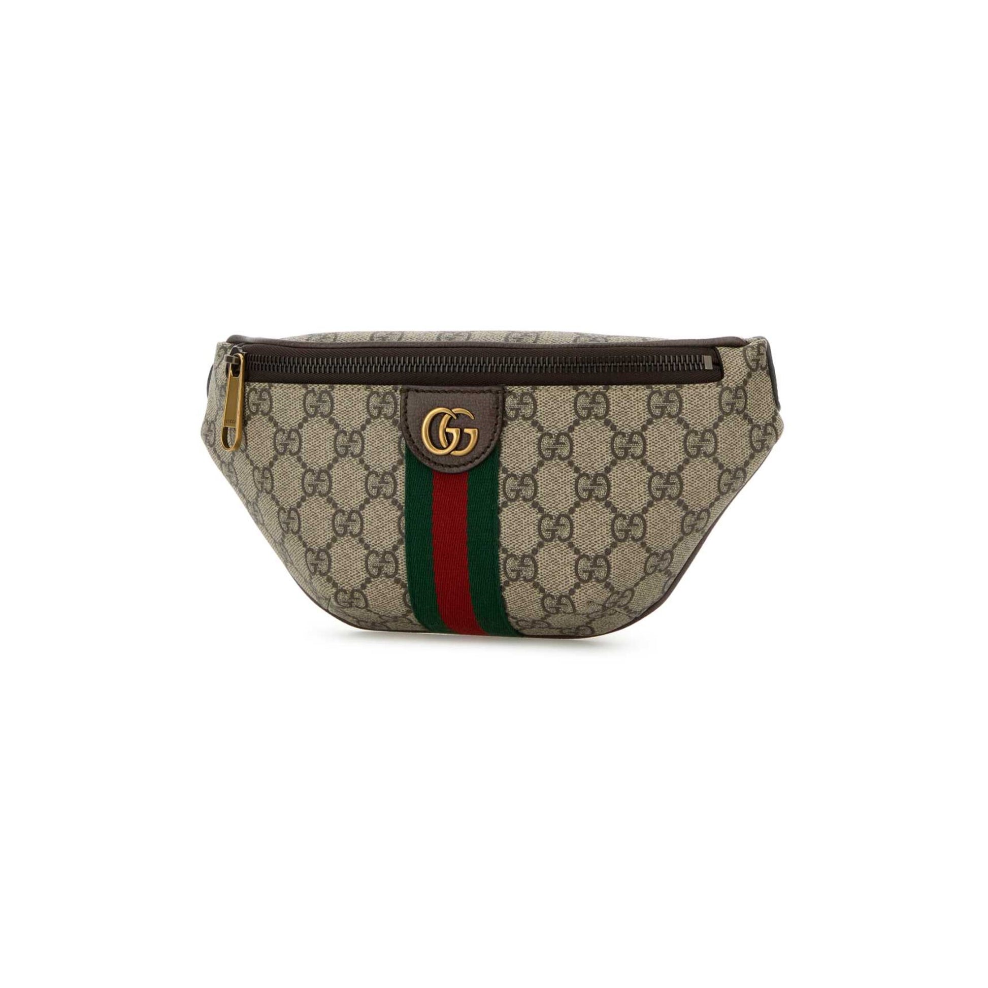 Gucci Bolsa de Cintura Pequena Ophidia em Pele