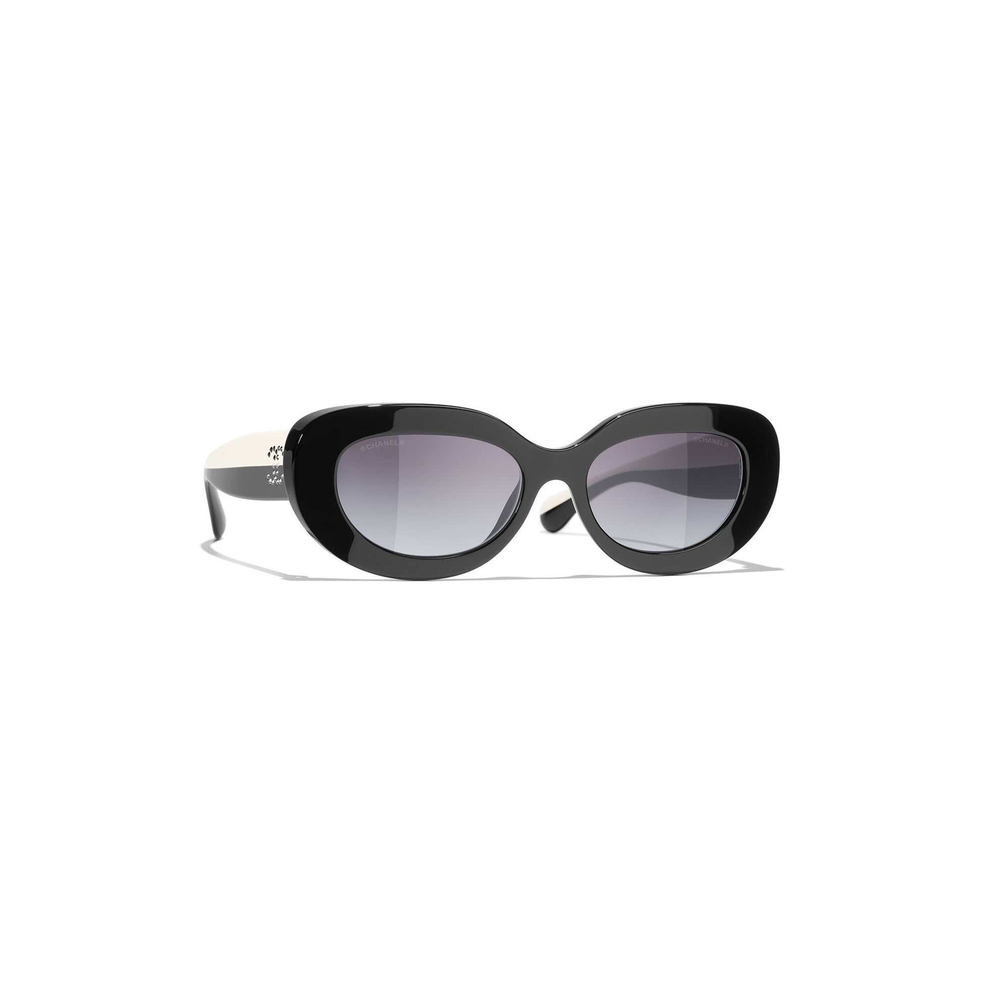 CH5562B C501S6