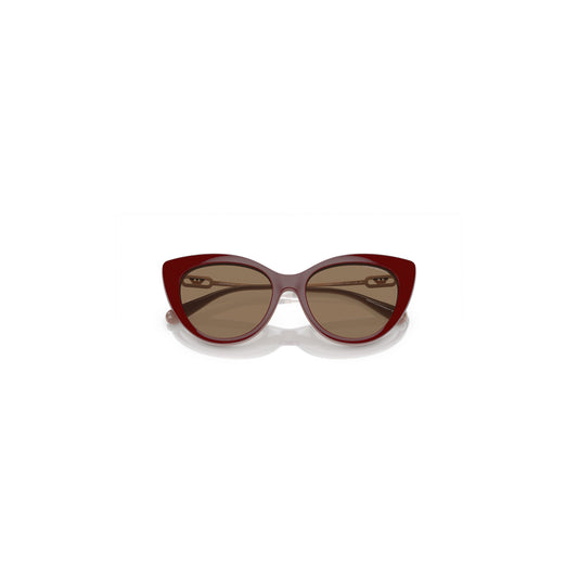 Óculos de Sol Emporio Armani EA4213U 51461W