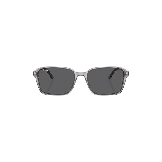 Raimond Havana Sunglasses - RB2231 1436B1