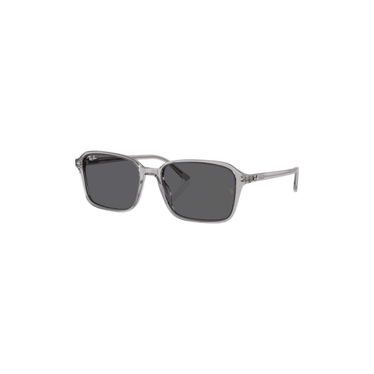 Raimond Havana Sunglasses - RB2231 1436B1